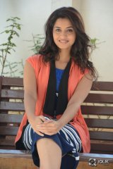 Arthana Binu at Seethamma Andaalu Raamayya Sithraalu Success Meet